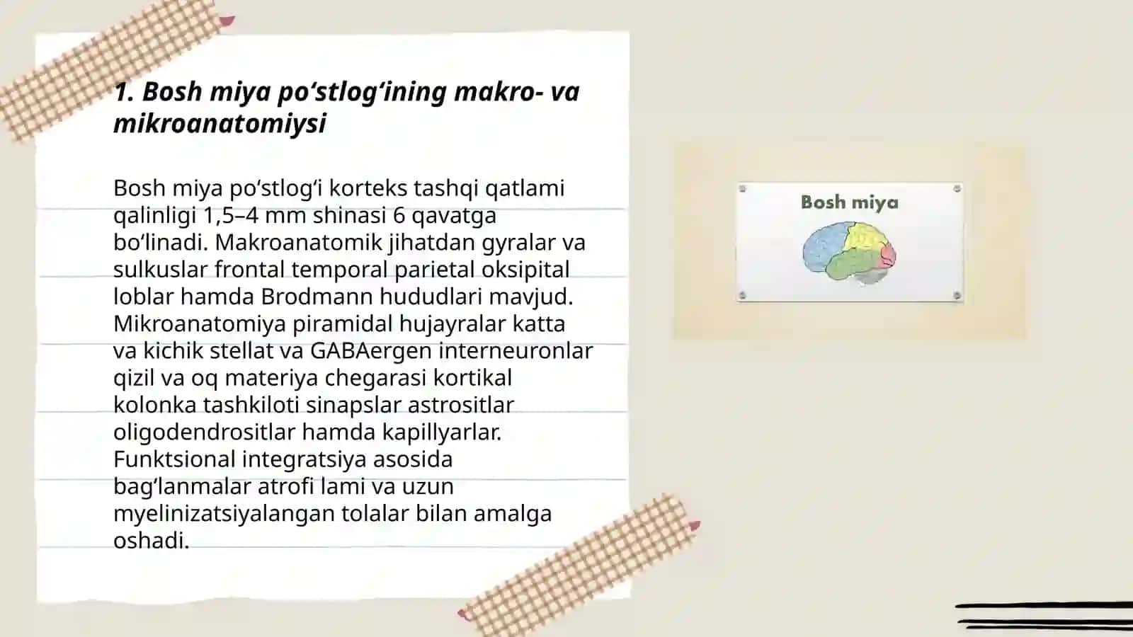 Bosh miya poʻstlogʻi va bosh miya oʻtkazuv yoʻllari 3