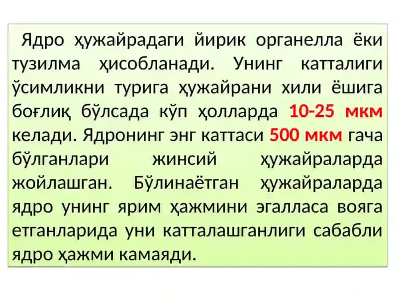 Ядро ва унинг тузилиши 3