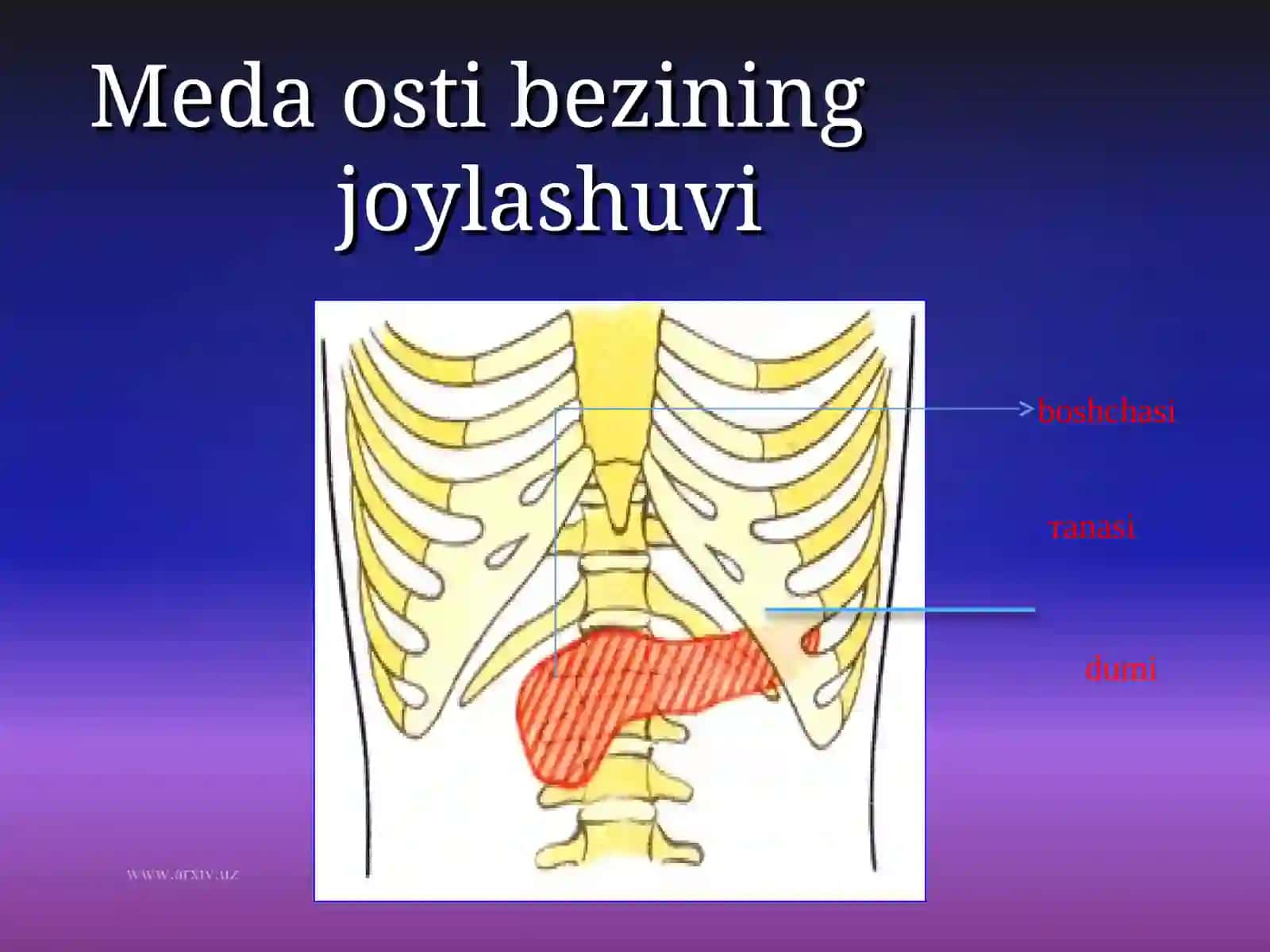 Meda osti bezi kista va oqmalari 3