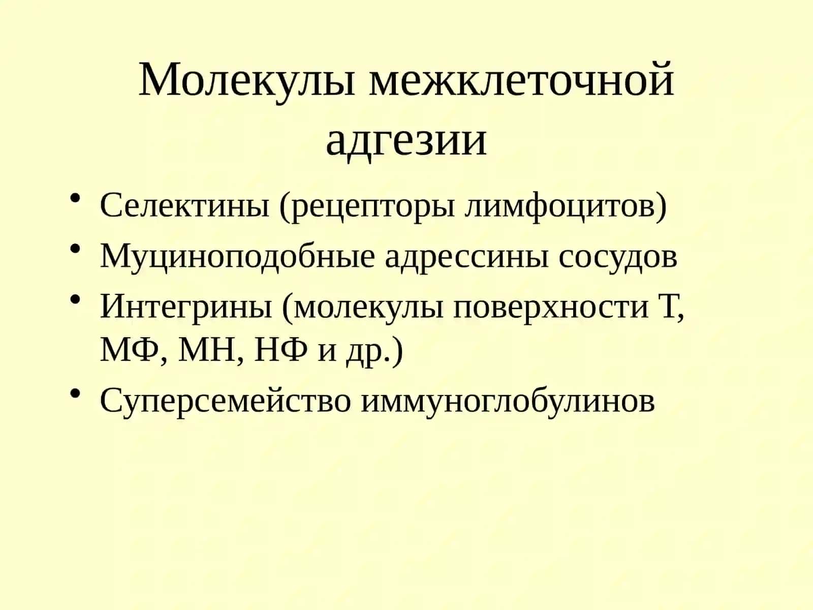 Иммунный ответ 3