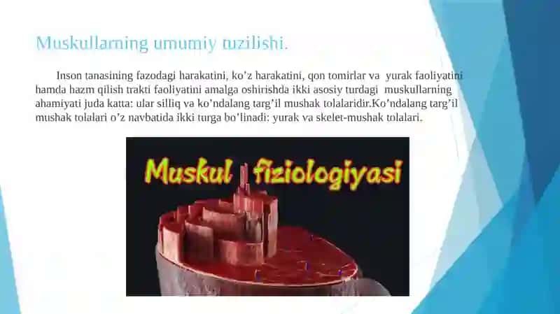 Muskul xossalarini o’rganish usullari. Tetanus 3