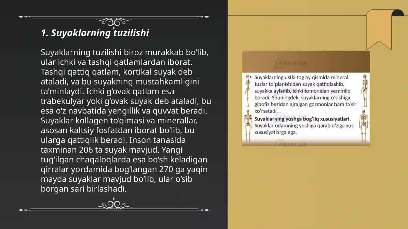 Suyaklar va ularning birikishi 3