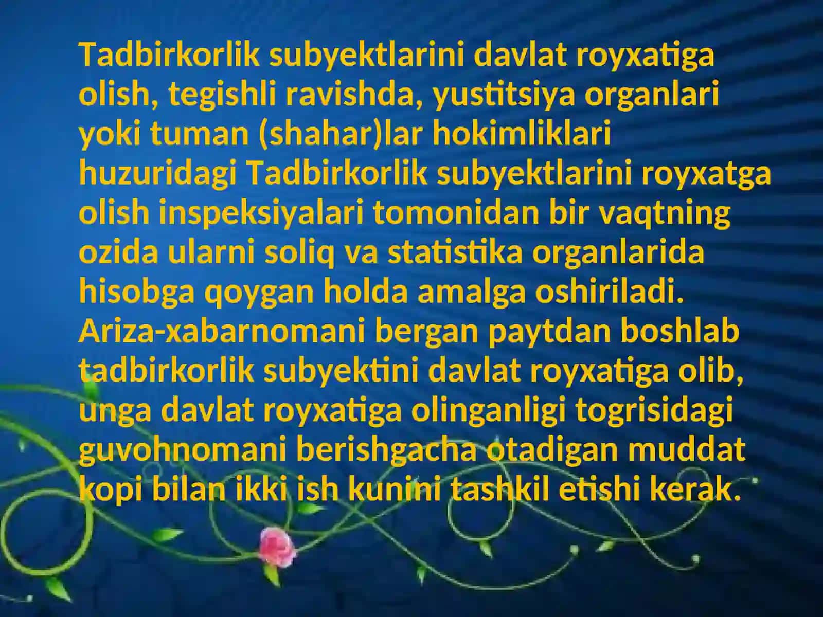 Tadbirkorlik subyektlarini roʼyxatdan oʼtkazish 3