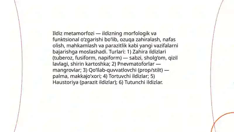 Ildiz metamorfozi 3