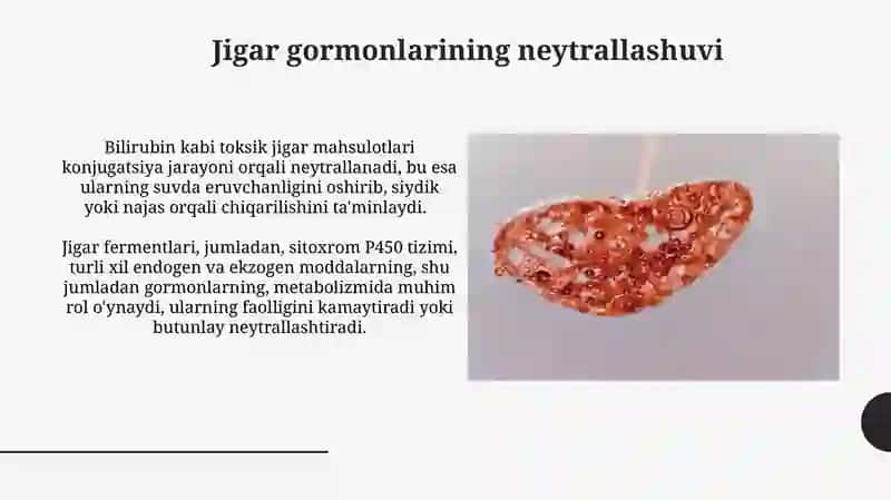 Jigar gormonlarining neytrallashuvi 3