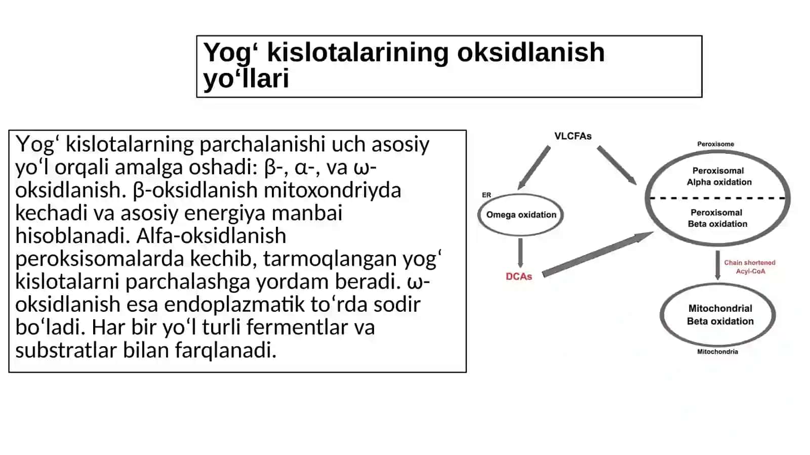 Yog‘kislotalariningalfa-oksidlanishi,ahamiyativabuzilishlari 3