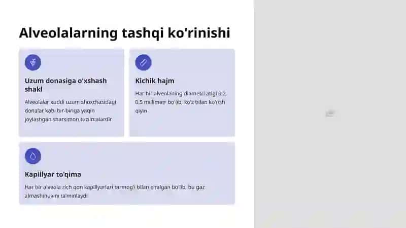 Alveolalar tuzilishi va funksiyasi 3