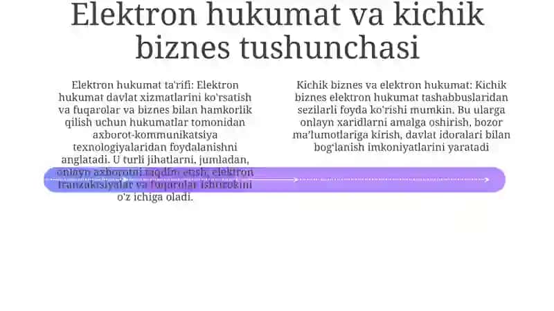 Elektron Hukumat Tizimlari 3