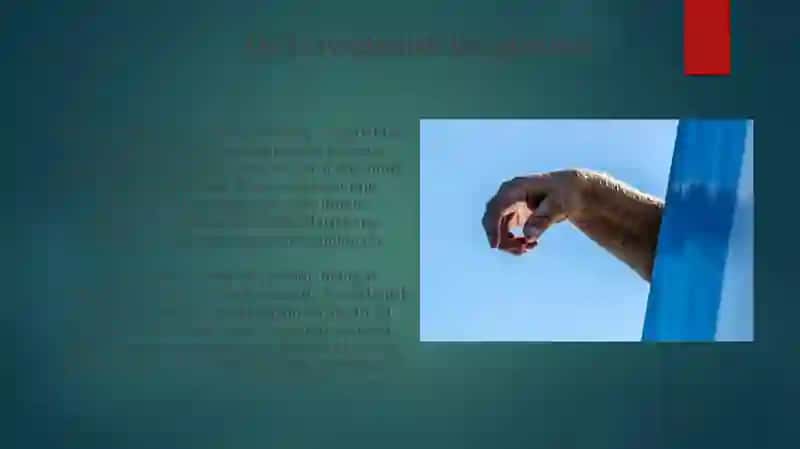 Qoʻlsuyaklarining variantli anatomiyasi 3