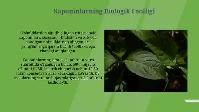 Saponinlar 3
