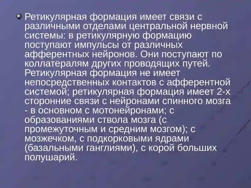 Ретикулярная формация 3