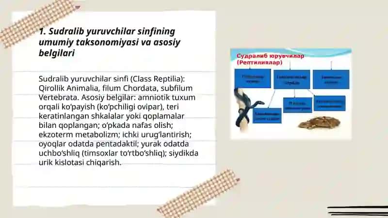 Sudralib yuruvchilar sinfi 3