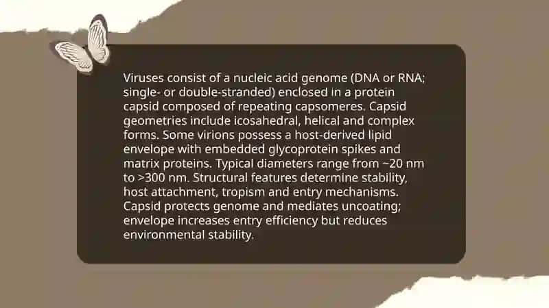 Viruses 3