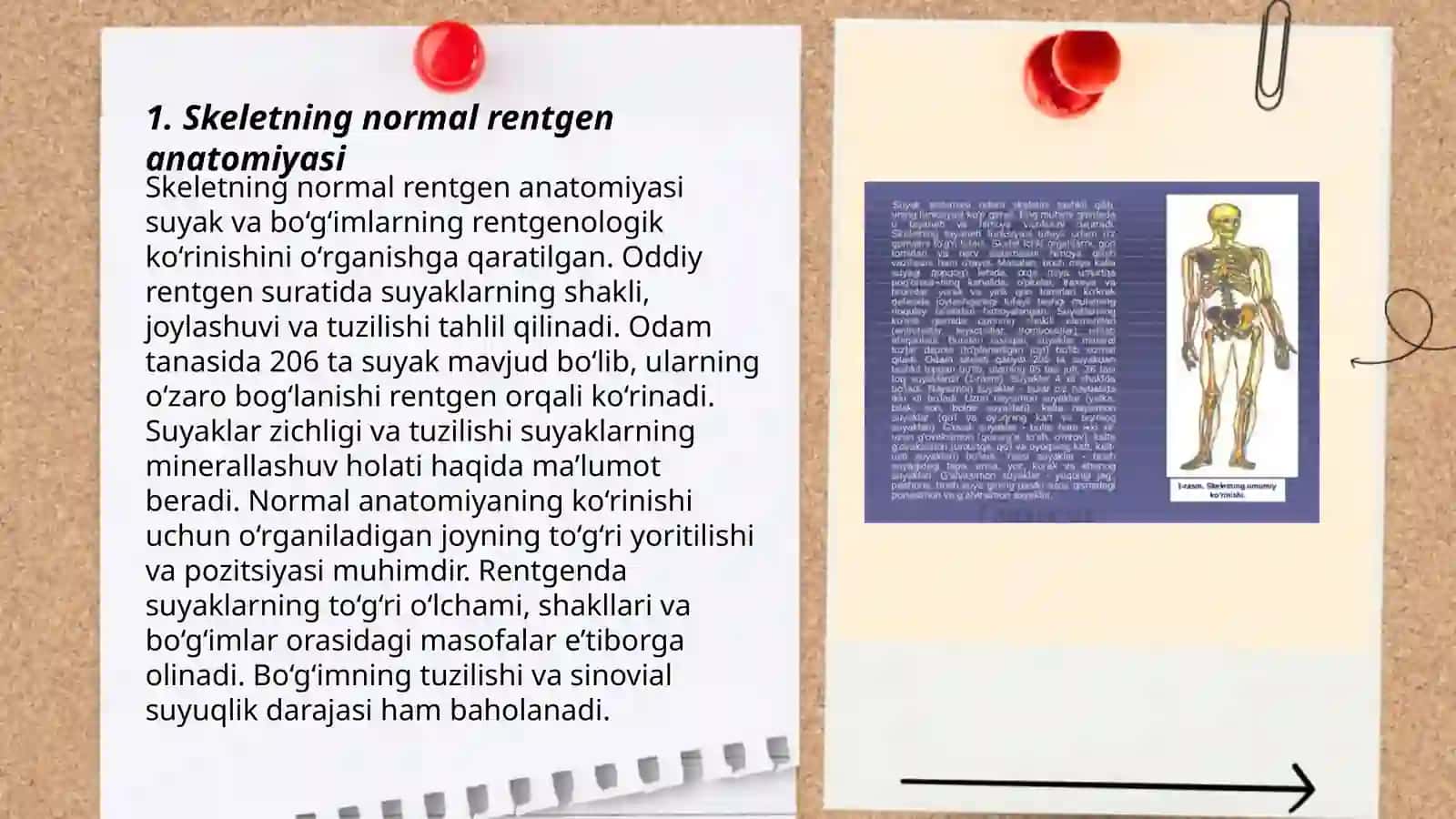Skelet suyaklarining rentgenanatomiyasi 3