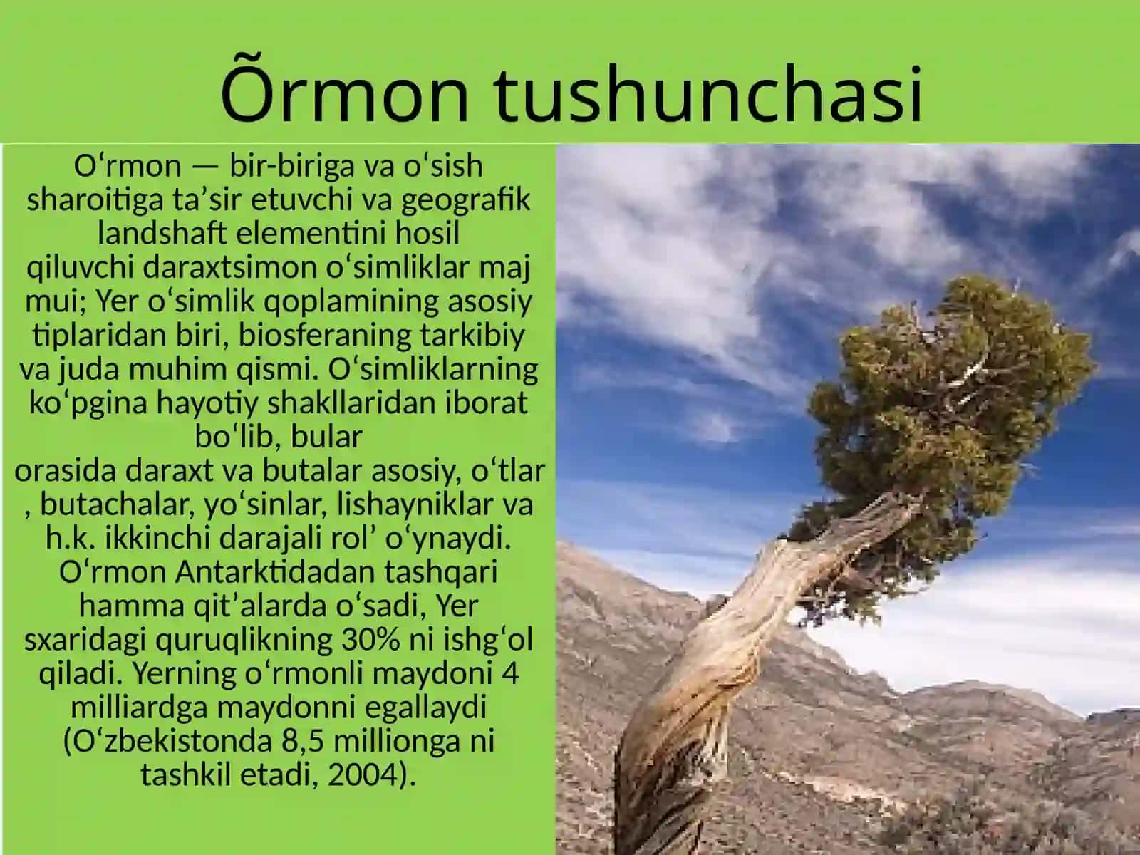 Õrmondan foydalanish va muhofaza qilish 3