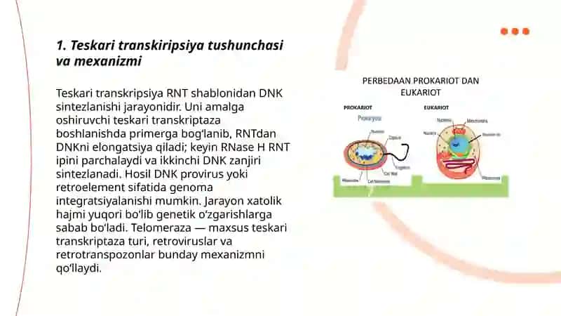 Teskari transkiripsiya.Prakariotlar va eukariotlar genlarining strukturasi 3