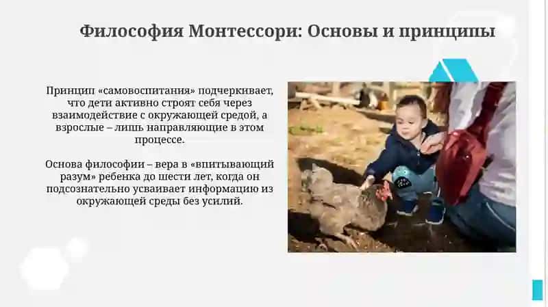 Монтессори методикасига асосан ривожланиш муҳитини яратиш 3