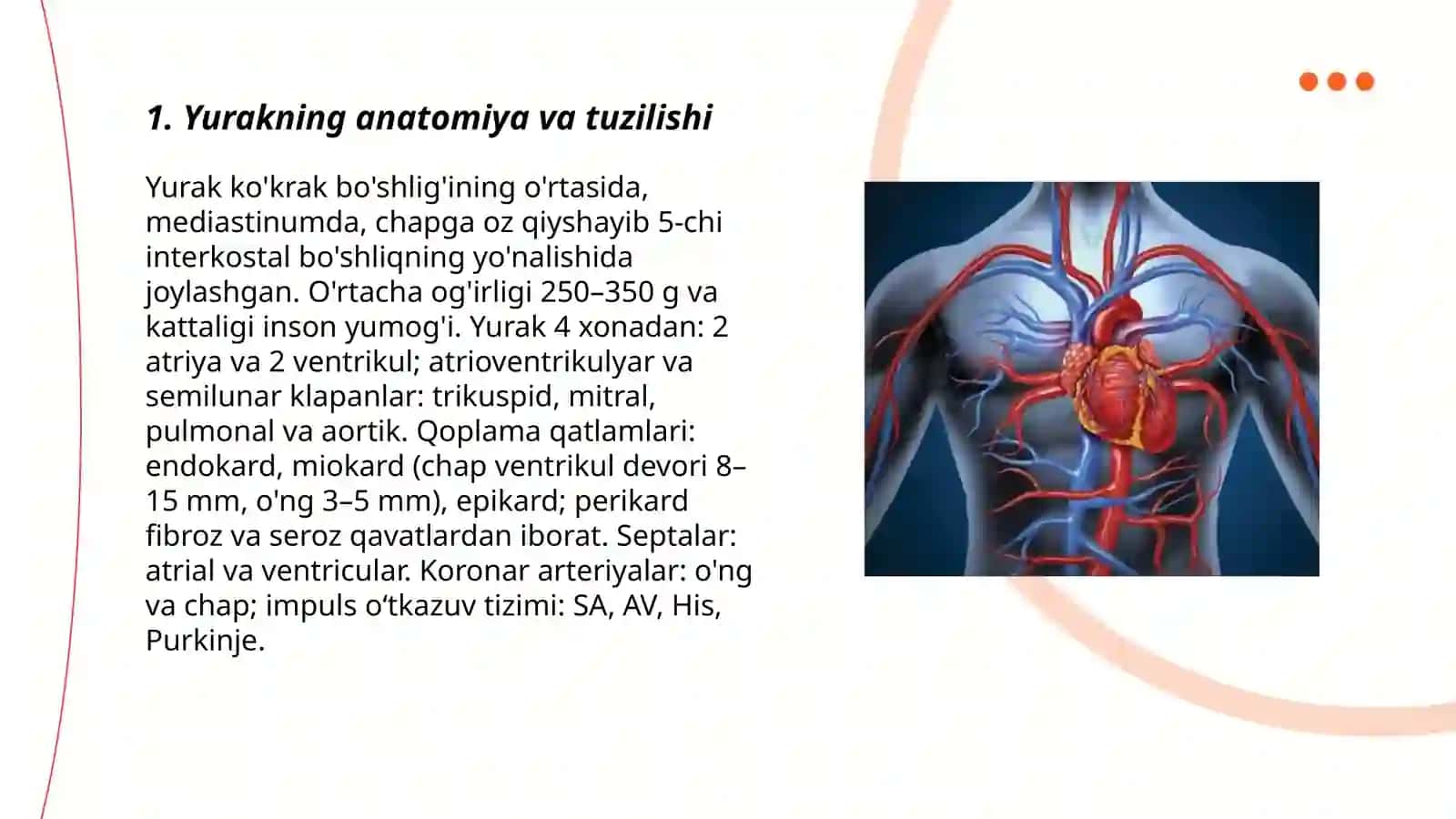 Yurak qon-tomir pad fizialogiyasi 3