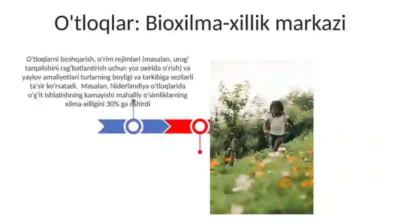 Gulzorlar va maysazorlar 3