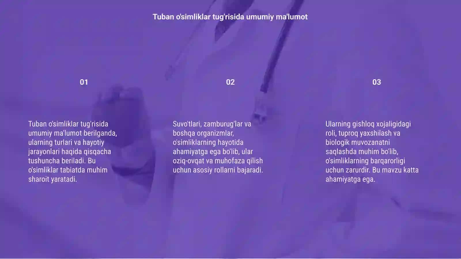 Tuban O'simliklar 3