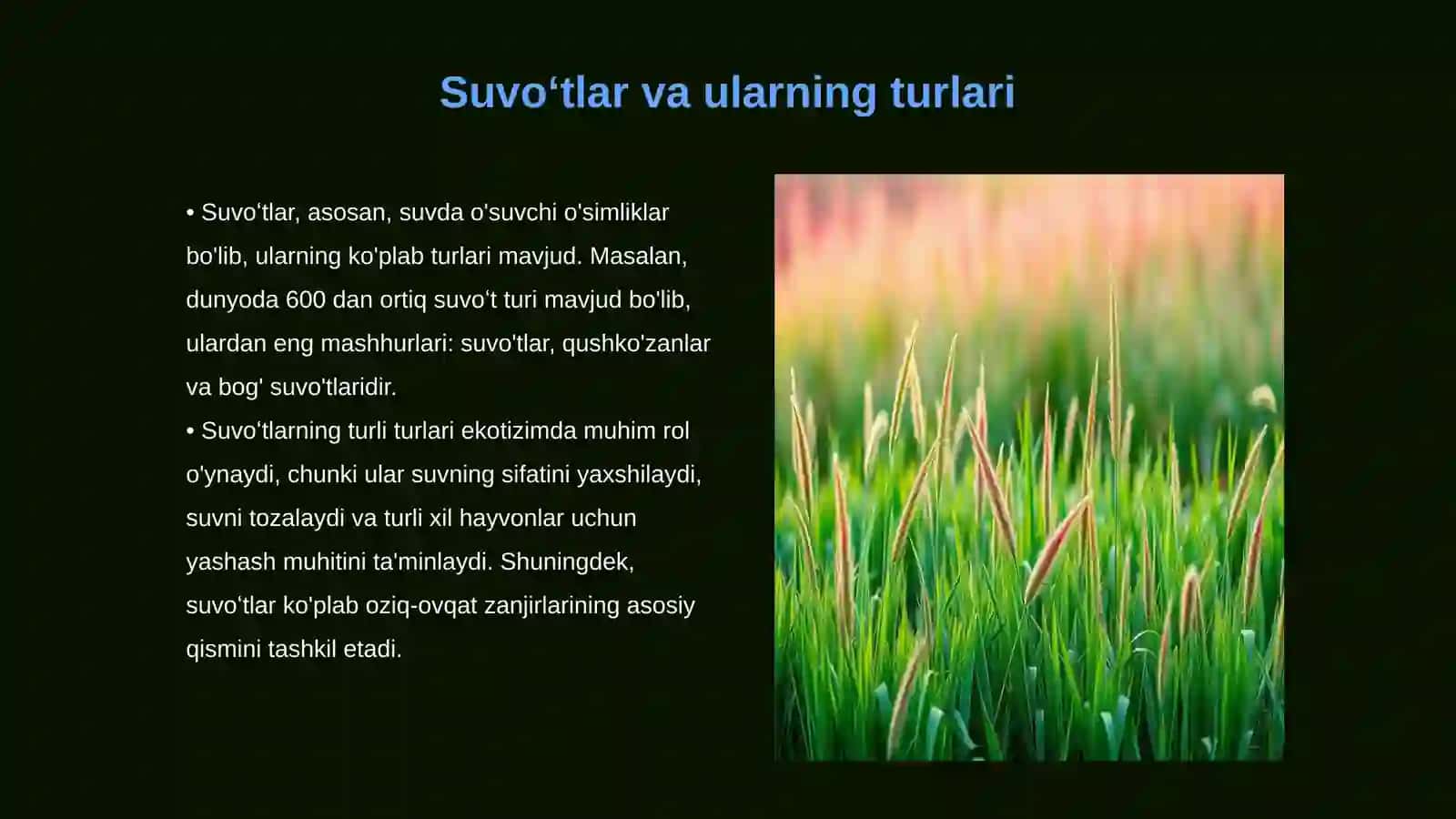 Suvoʻtlarning ahamiyati 3