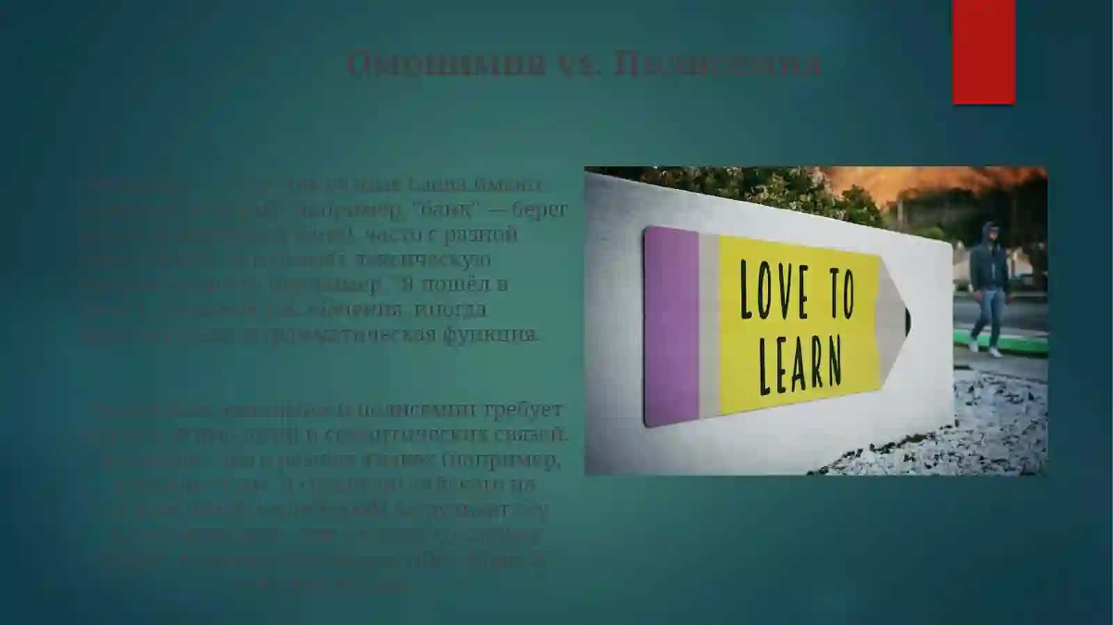 Омонимия 3