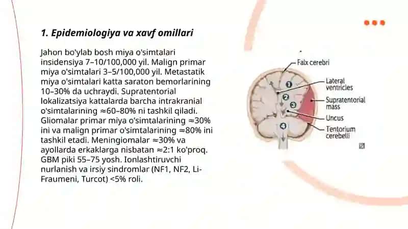 Bosh miya SUPRATENTORIAL O‘SMALAR 3