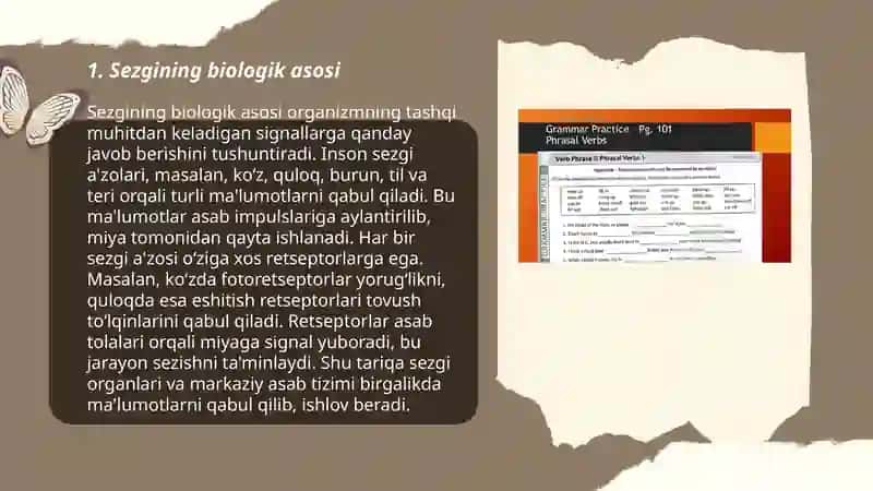 Sezgining xususiyatlari va tavsifi 3