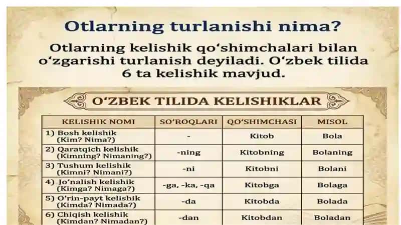 Ot garammatik kategoriyalari ikkinchi guruhida turlanuvchi otlar 3
