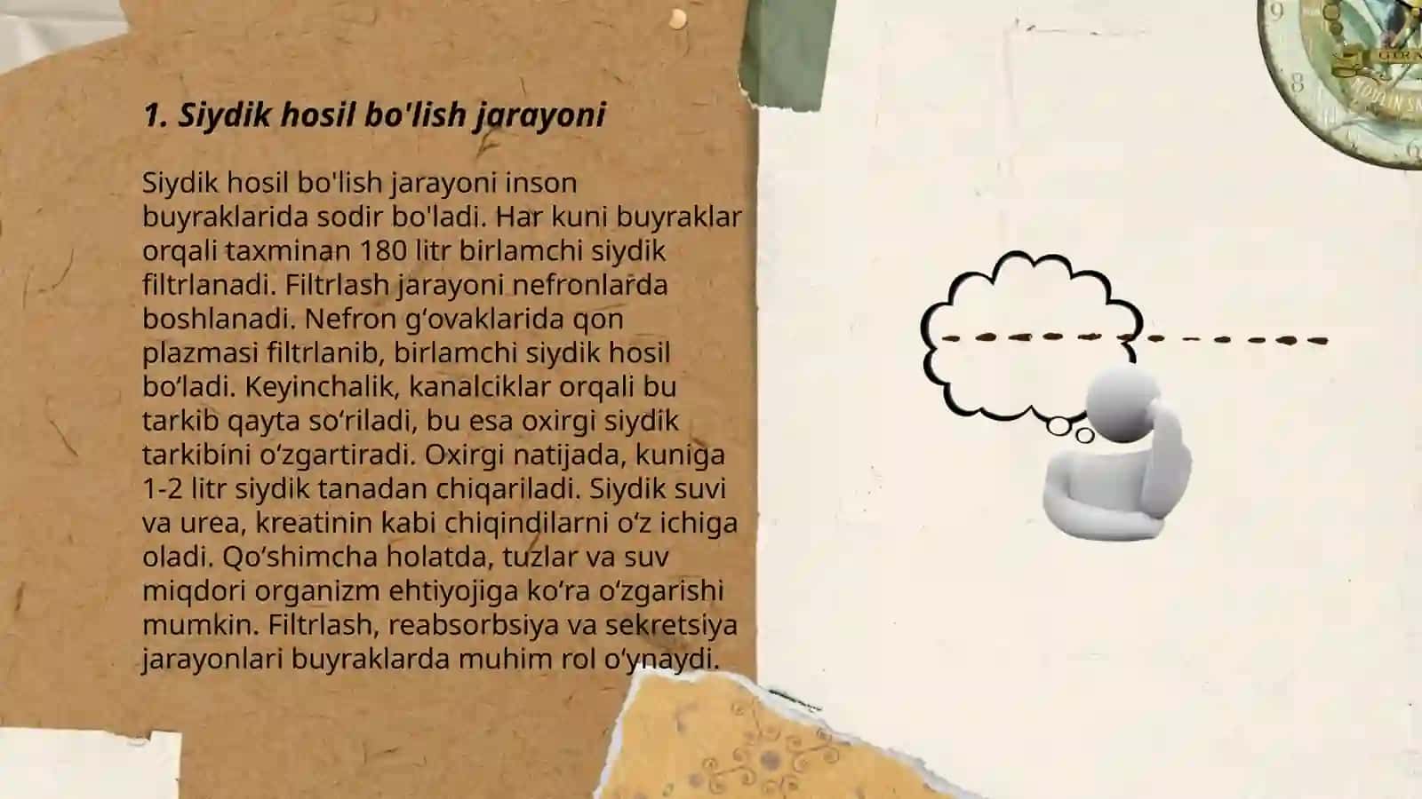 Siydik hosil bolish mexanizmi 3