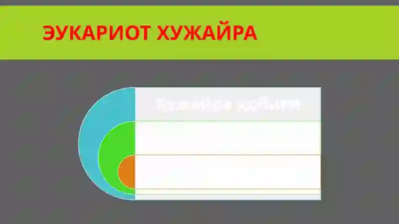 ХУЖАЙРА БИОЛОГИЯСИ 3