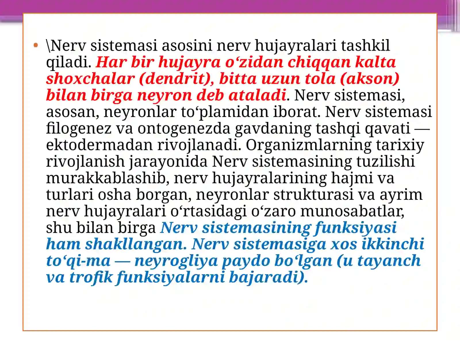 Nervsistemasi 3