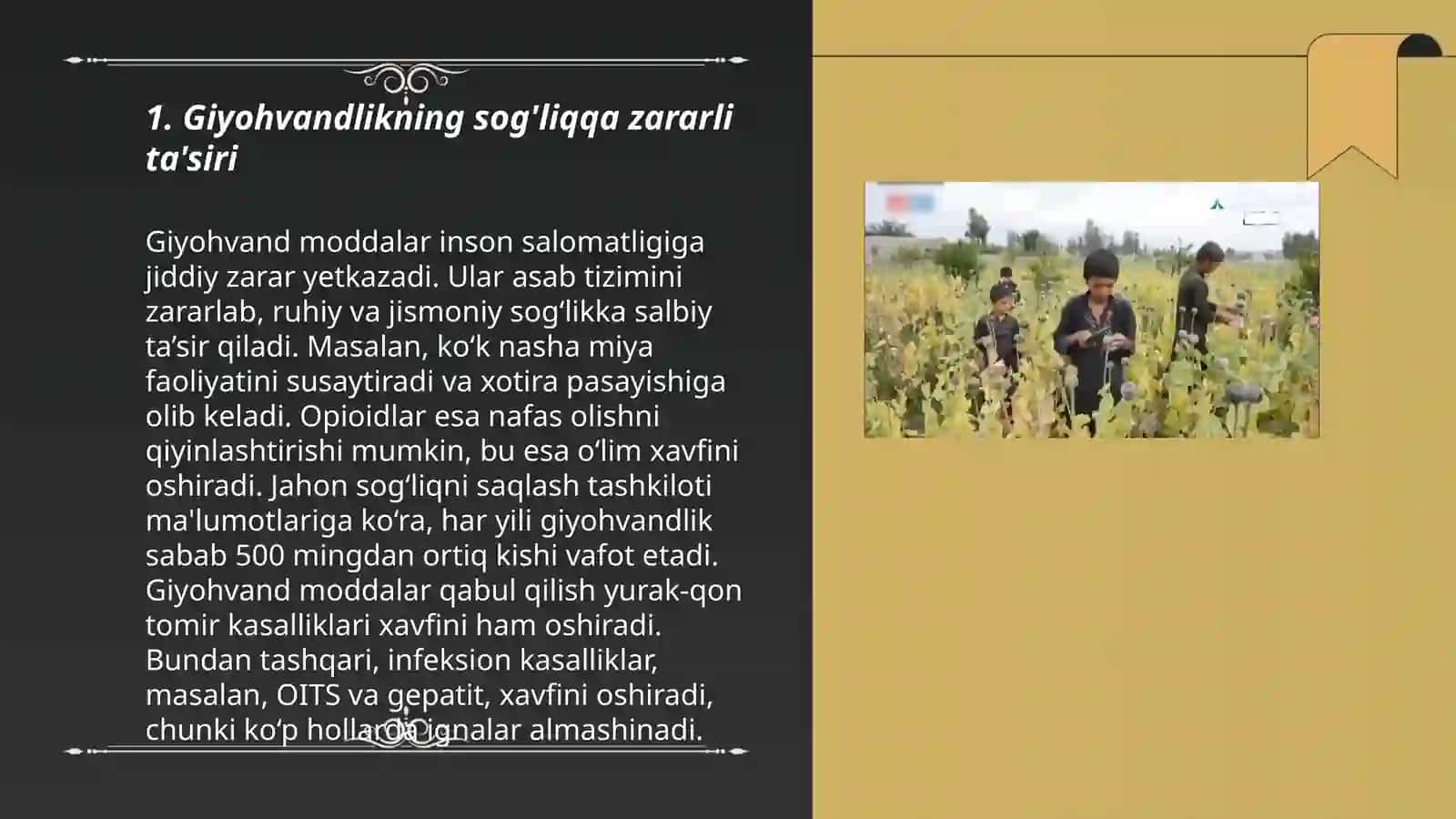 Giyohvandlikning sog'liqqa zararli ta'siri 3