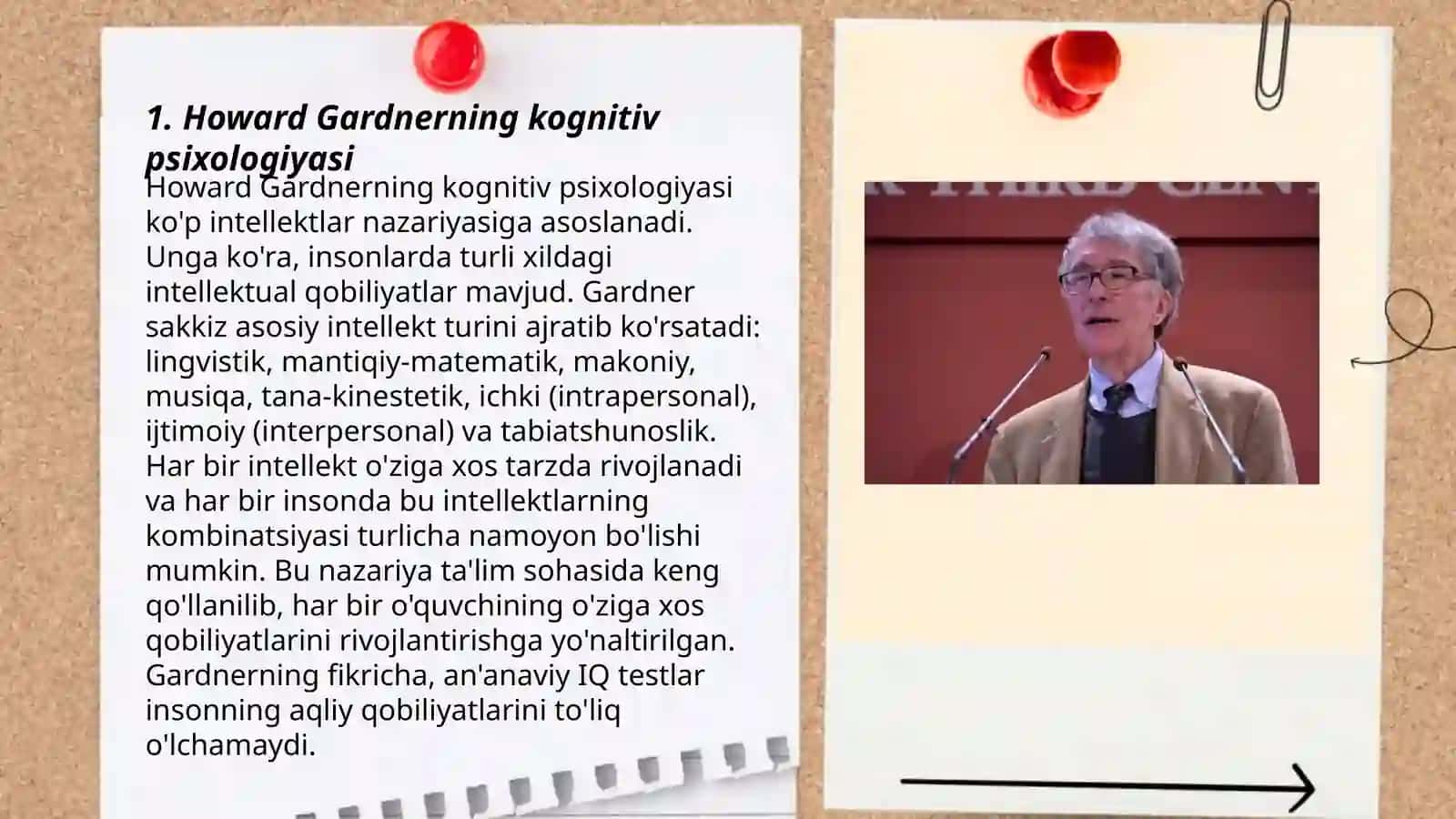 Howard Gardner 3