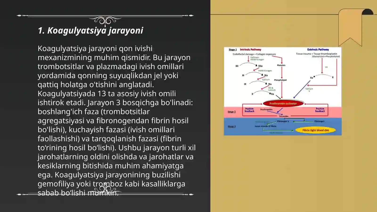 Koagulyatsion gemostaz 3