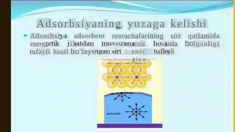 Organizmning hayot faoliyatida adsorbsiya jarayoni 3