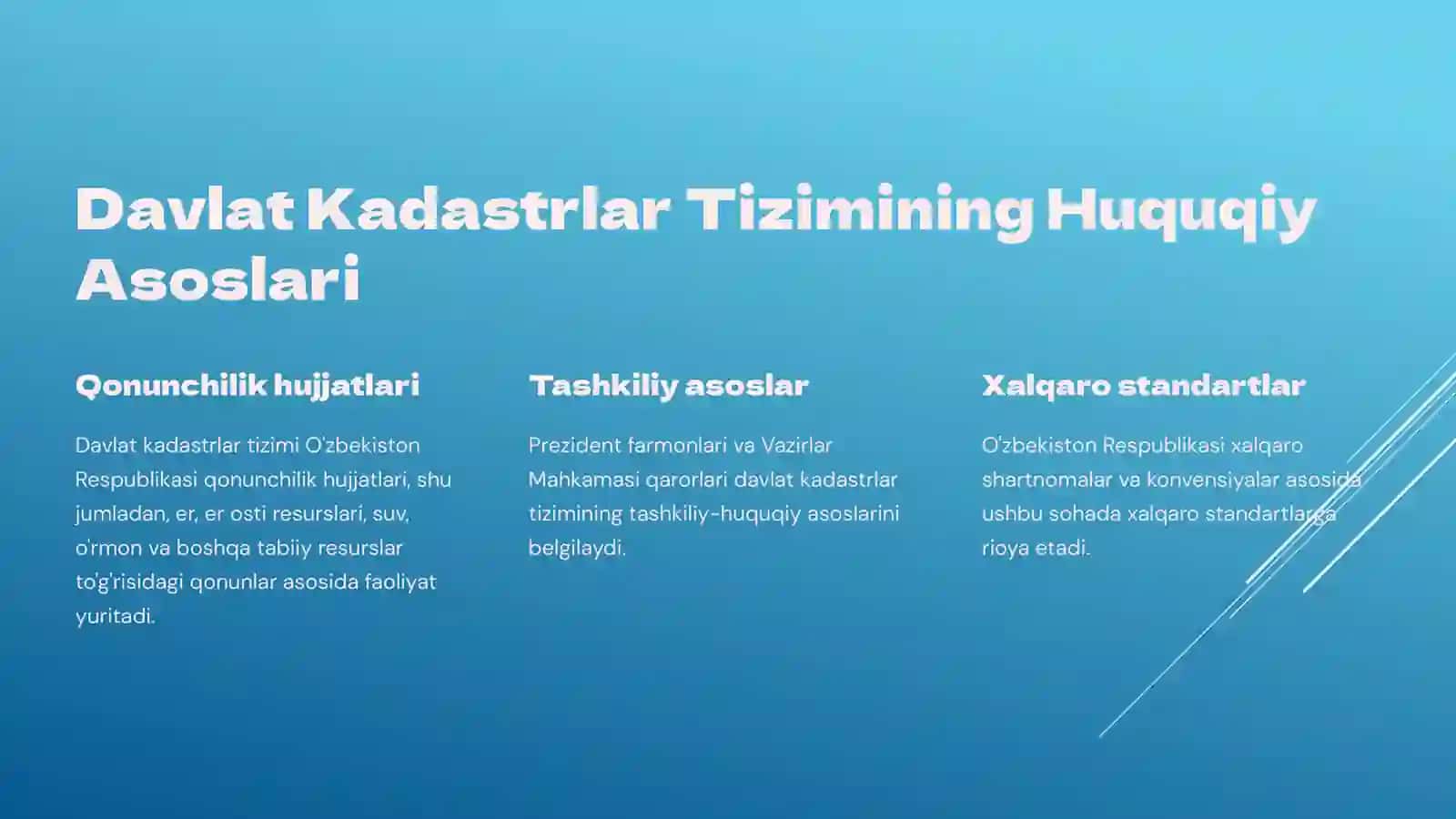 DavlatKadastrlarTiziminiyuritish 3