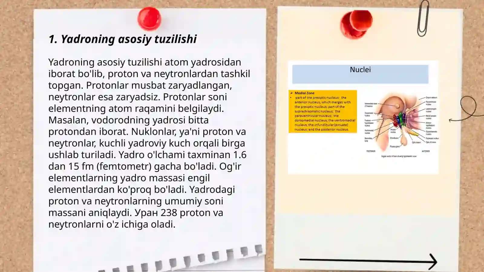 Yadro.Uning tuzilishi va funksiyalari 3