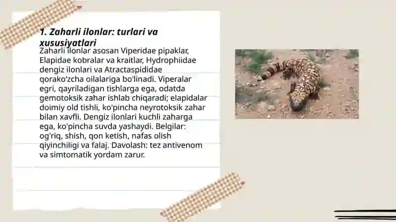 Zaharli ilonlar: turlari va xususiyatlari 3