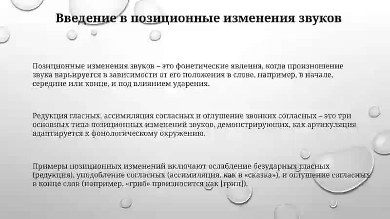 Позиционное изменения звуков 3