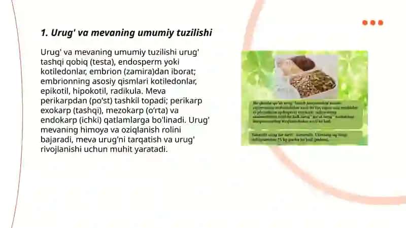Urug' va mevaning tuzilishi 3