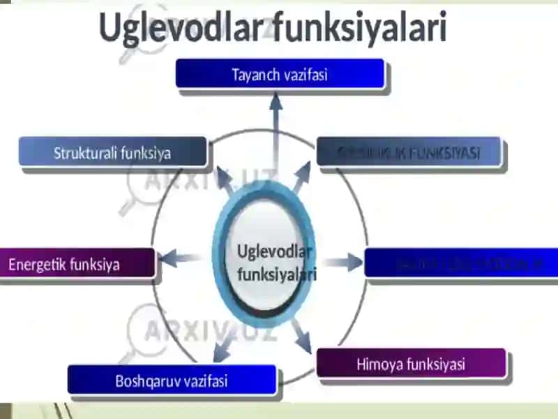 UGLEVODLAR ALMASHINUVIGA KIRISH. GLIKOLIZ. 3
