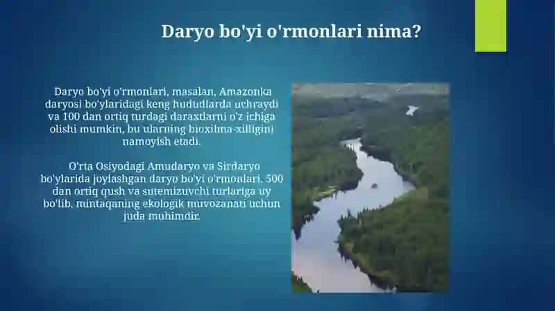 Daryo bo'yi o'rmonlari 3