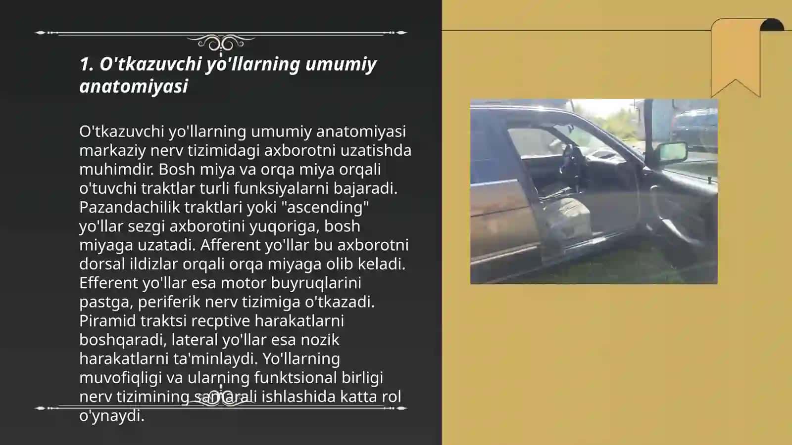 Bosh miya va orqa miya o'tkazuvchi yo'llari,klinik ahamiyati 3