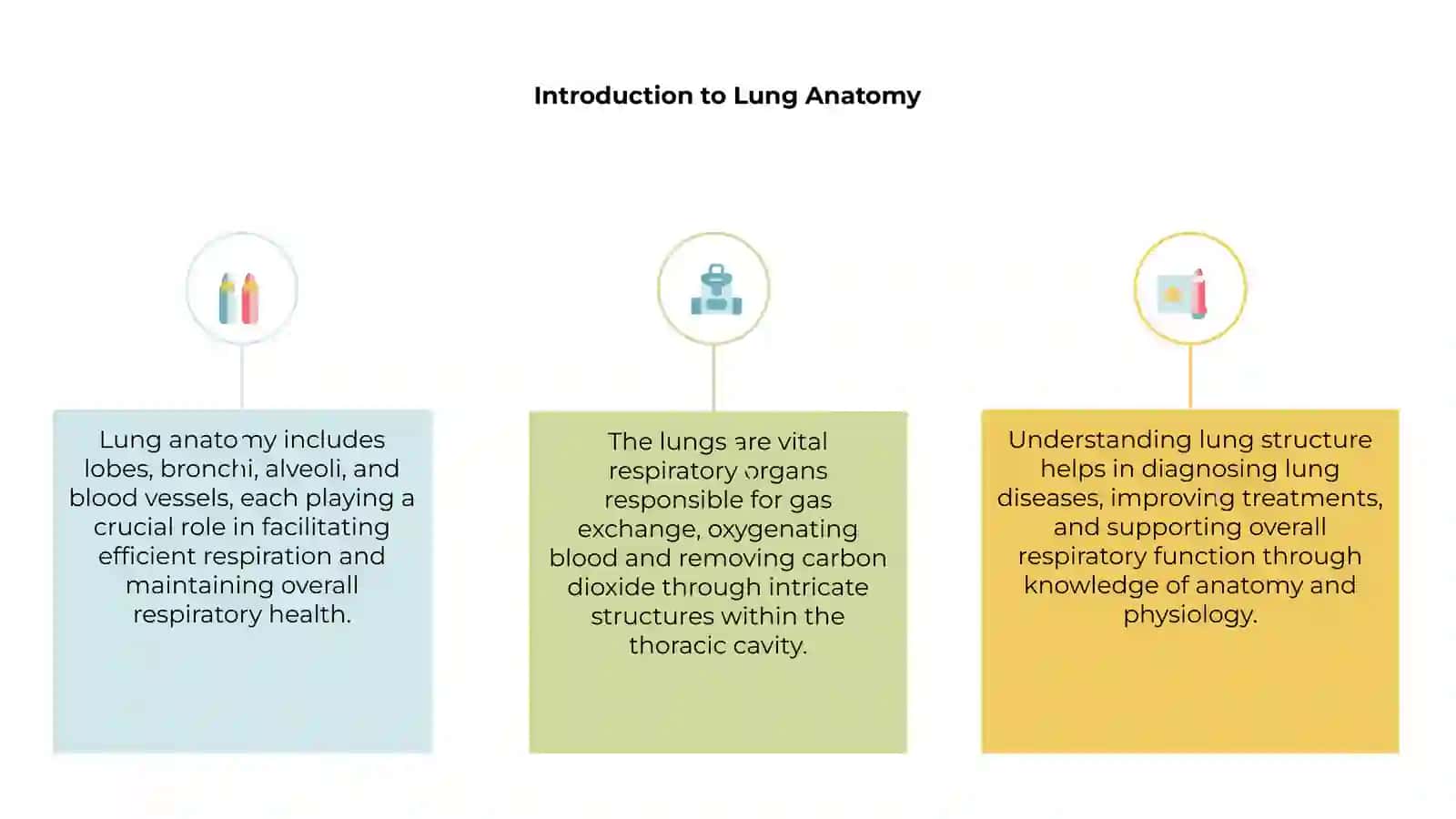 Physiology of the lungs 3
