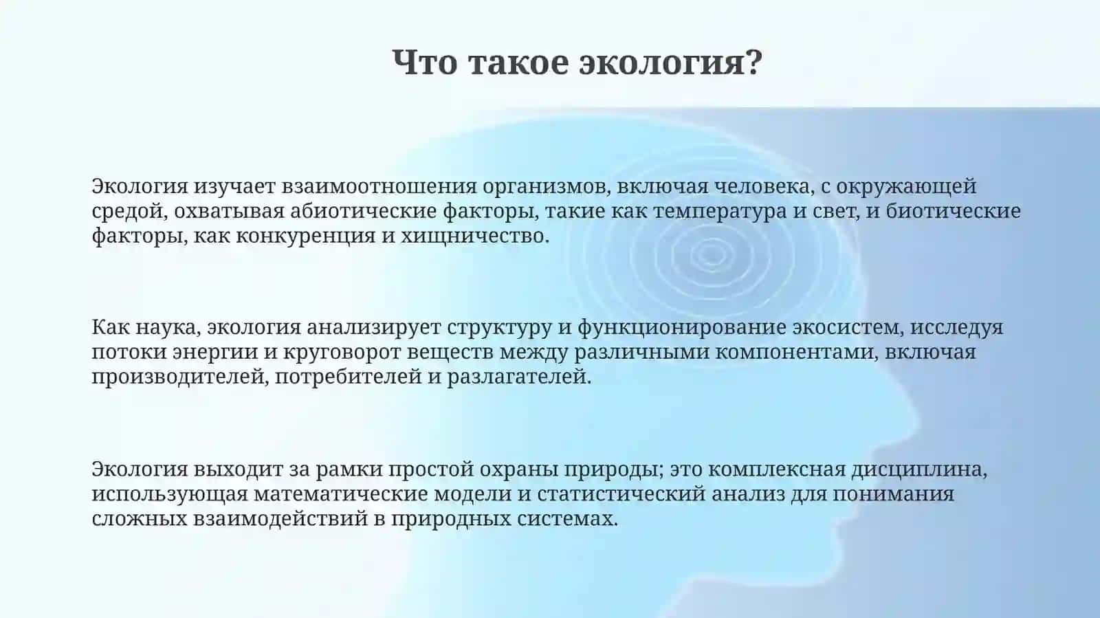 Презентация 3