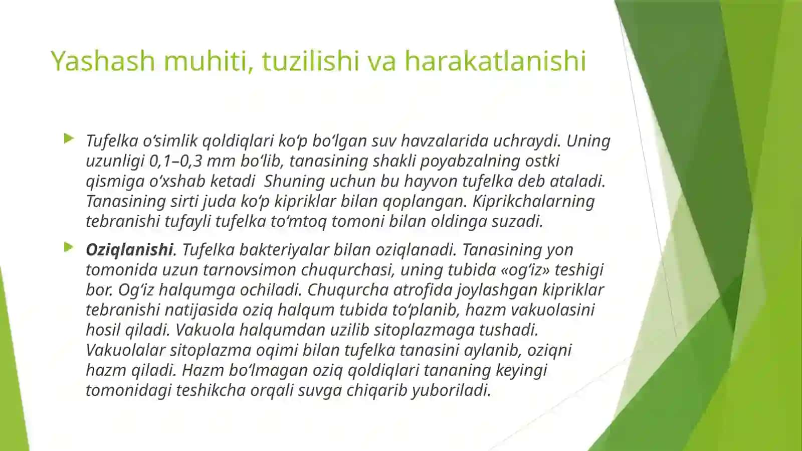 Infuzoriyalar sinfi 3