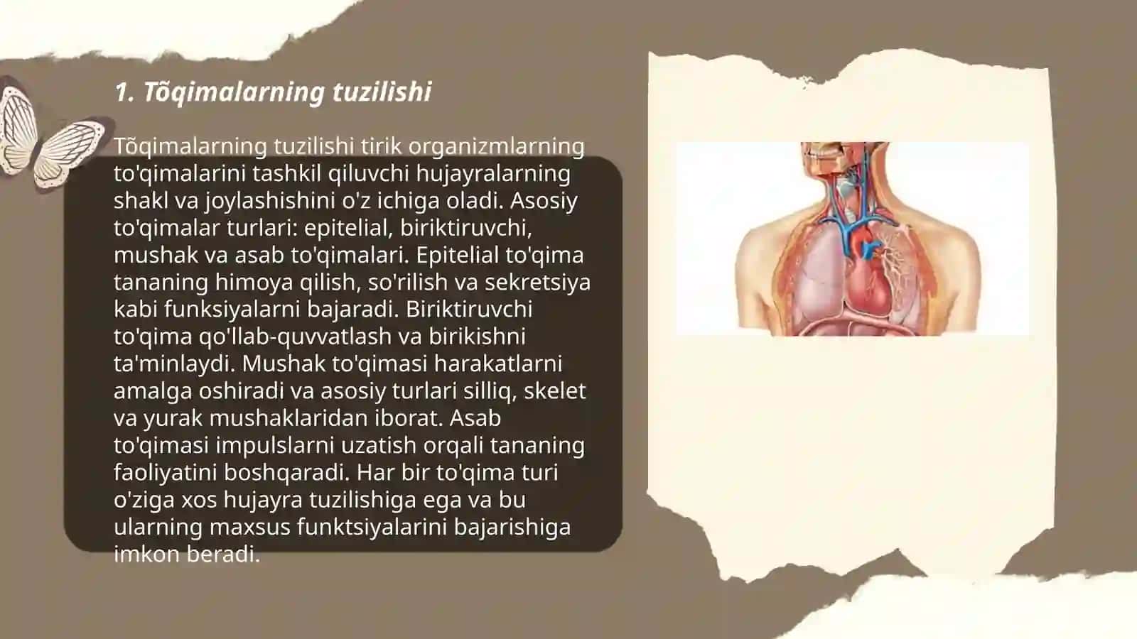 Tõqimalar morfofiziologiyasi 3