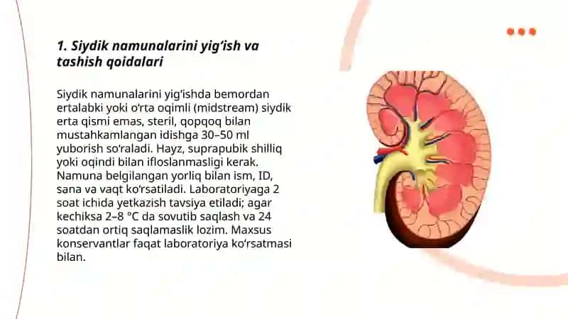 Siydikni sitologik tekshirish usullari 3