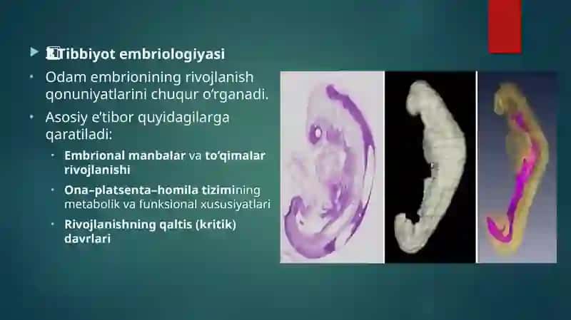 odam embriologiyasi 3